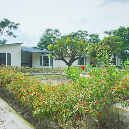 Sukoon - A Wellness Resort, Uttarakhand Chuharpur المظهر الخارجي الصورة