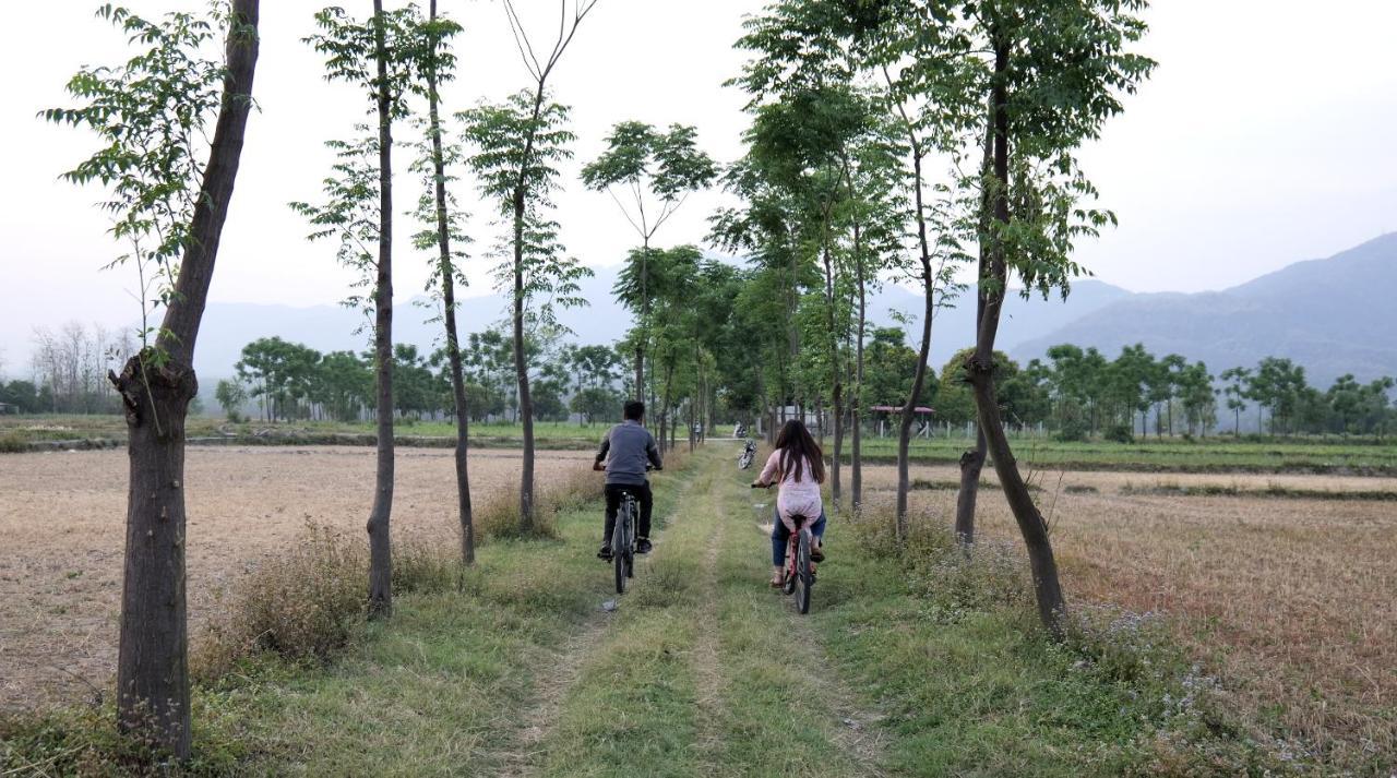 Sukoon - A Wellness Resort, Uttarakhand Chuharpur المظهر الخارجي الصورة
